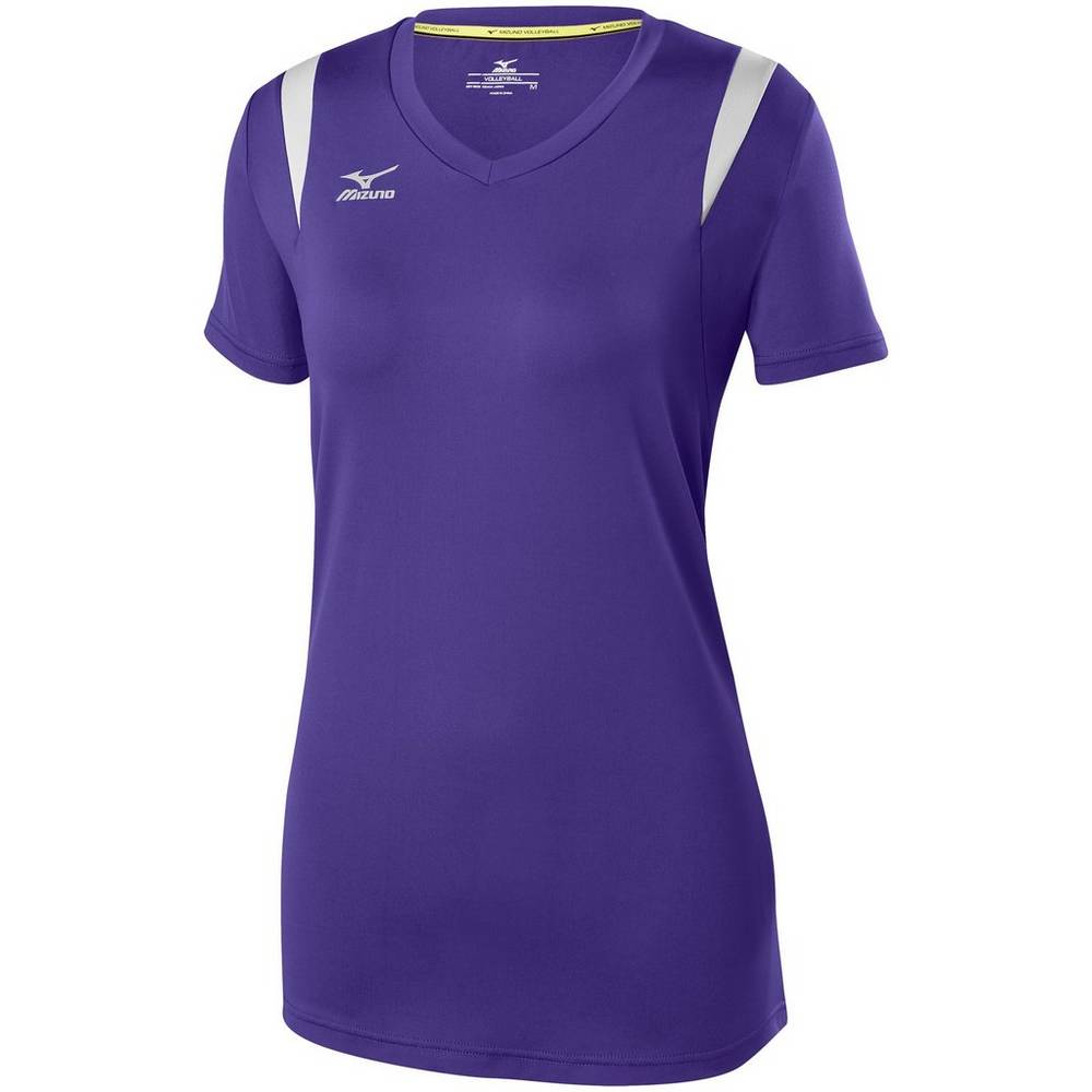 Womens Mizuno Balboa 5.0 Long Sleeve Volleyball Jersey Purple/Silver Philippines (MZWLGE937)